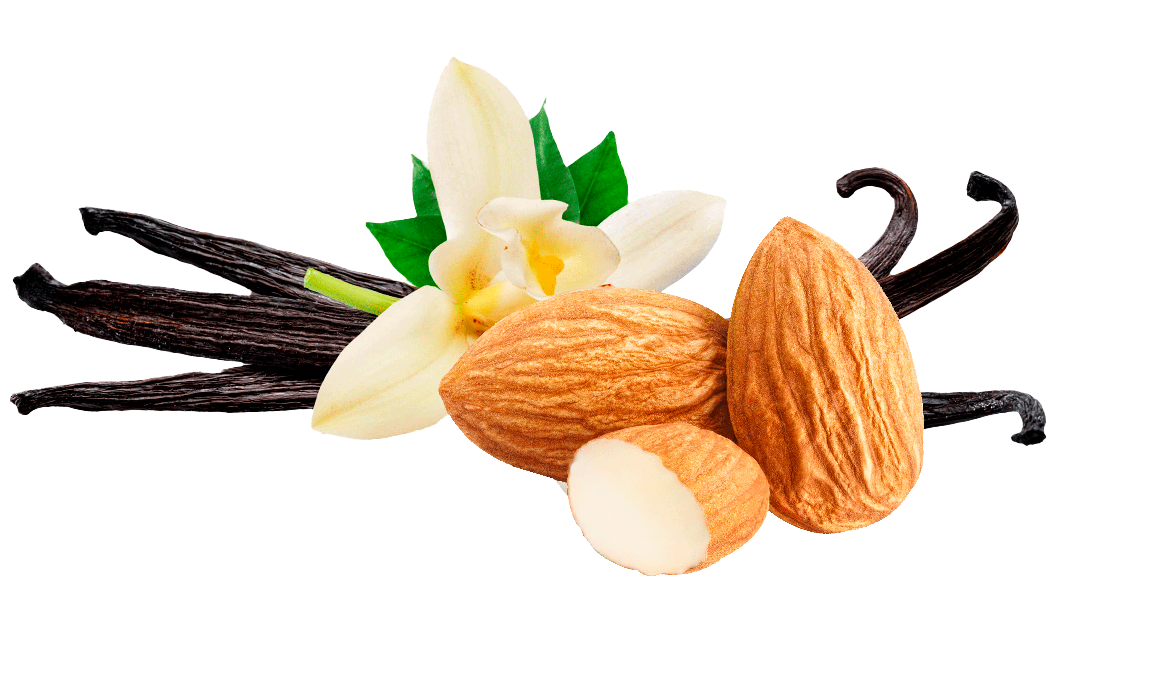 Bebida de almendra y vainilla sin azúcar saludable alimento en Generación Trü