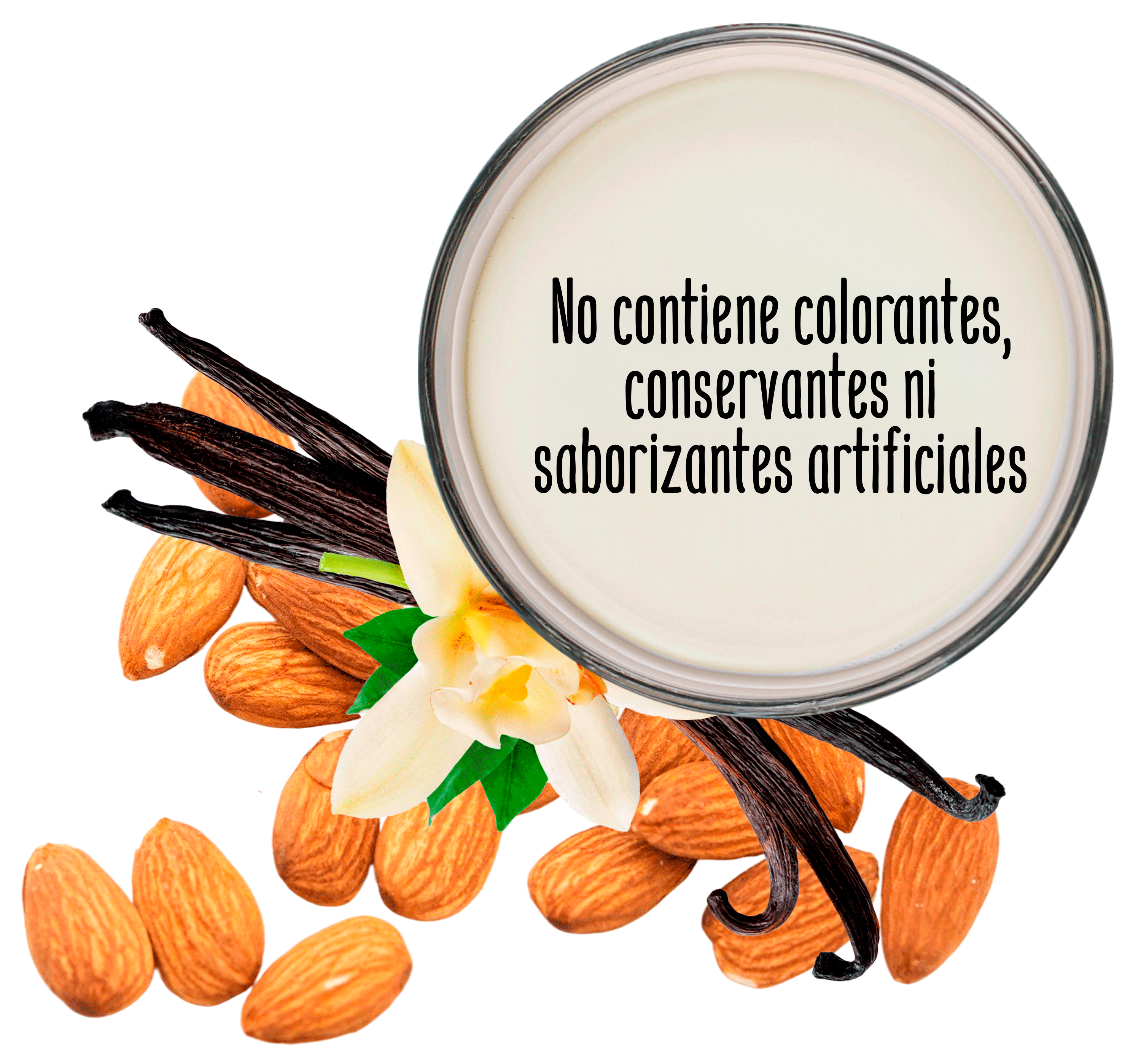 Bebida de almendra y vainilla sin azúcar sin colorantes alimento en Generación Trü