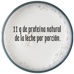 Leche deslactosada con proteína en Ecuador