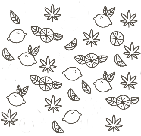 Toques de naranja jamaica para Agua saborizada de Naranja con Jamaica CBD